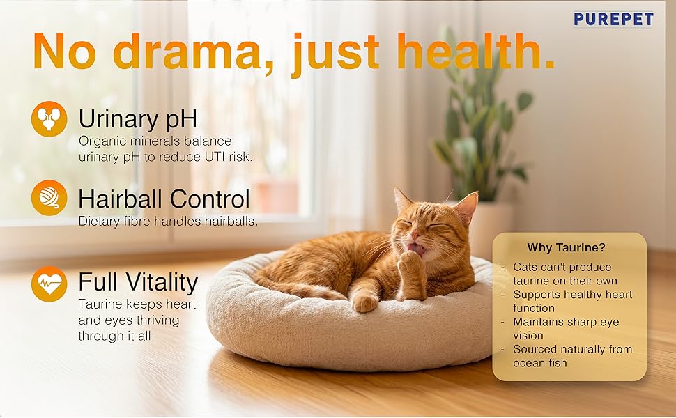 Purepet Adult Dry Cat Food, Real Chicken, 3 Kg